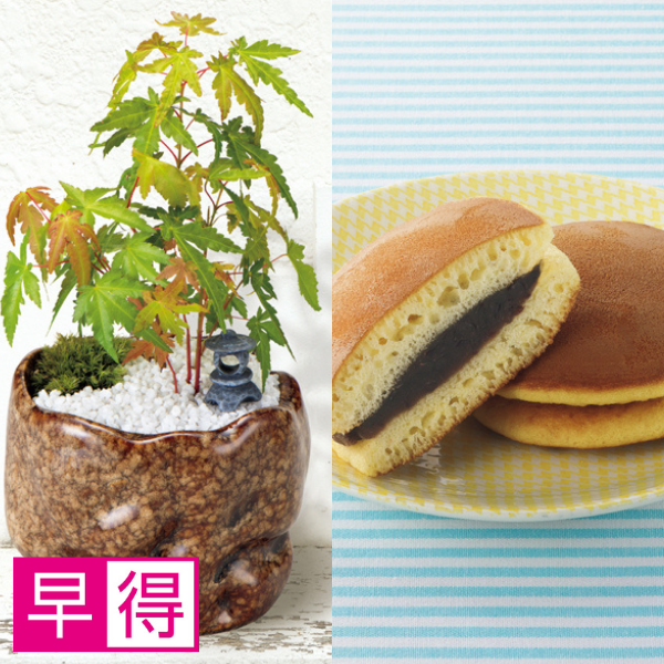 【早得】新月バラ園 親父の手（SUSTEE付）＋花菓蔵 粒あんどら焼き【父の日】 商品サムネイル